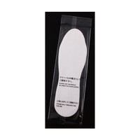 �O�a�@�X���b�p�g���̂Ē��~���i�ܓ��j