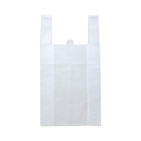 �O�a�@�s�D�z���W�o�b�O�@�i���j