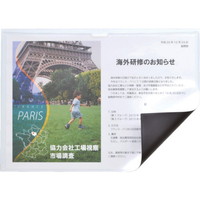 マグエックス マグネットカードケース つや消し A MCARDA3M カードケース ソフトタイプ 1枚(1枚)