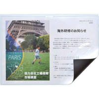 マグエックス マグネットカードケース つや消し A MCARDA5M カードケース ソフトタイプ 1枚(1枚)