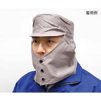 ���{���퐻�쏊�@�n�ړ���