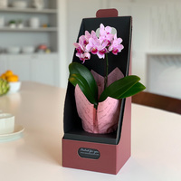 �`�����������k�����@�}�C�N���Ӓ����i�Q�D�T�����P�{�@�W�s���N�j