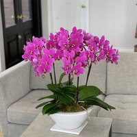 �`�����������k�����@�~�f�B�Ӓ����������i�W�����T�{�����@�s���N�n�j