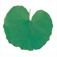 ���}�R�[�@�^�����N���A�V�[�g�@�~�j�E�ӂ��@�P�g�i�Q�O�O�����j�@�U�T�V�W�P�@�L�b�`���y�[�p�[�@�L�b�`���^�I��