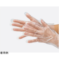 �j�`�y�d�m�@�f�B�X�|�[�U�u����܂P�O�O���@�t���[�@�S�X�T�X�O�@�t���[�@��܁E�r�J�o�[�@�|���G�`������܁@�P�Z�b�g�i�P�O�O���j