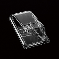 �f���J�|���}�[�@�Q�O�܁@�n�o�r�s�P�O�O�@�t�[�h�p�b�N�E�g���[�@�P�Z�b�g�i�T�O�����~�Q�O�j