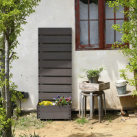 �R�P�@�v�o�b�v�����^�[�t�F���X