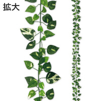 �A���t�@�@�j���[�|�g�X�K�[�����h�@�s�h�W�O�Q�O�Q�@�����p�i�i�f�B�X�v���C�p�j�@�P�Z�b�g�i�Q�{���j