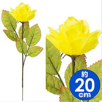 �A���t�@�@�o���i���j�@�P�O�O�{���@�@�P�O�O�{��