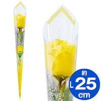 �A���t�@�@�o�������݃C���X�g���b�v�i���j�@�Q�O�O�{���@�@�Q�O�O�{��