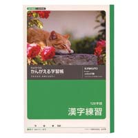 キョクトウ 漢字練習(120字) B5 1セット(20冊入) L416